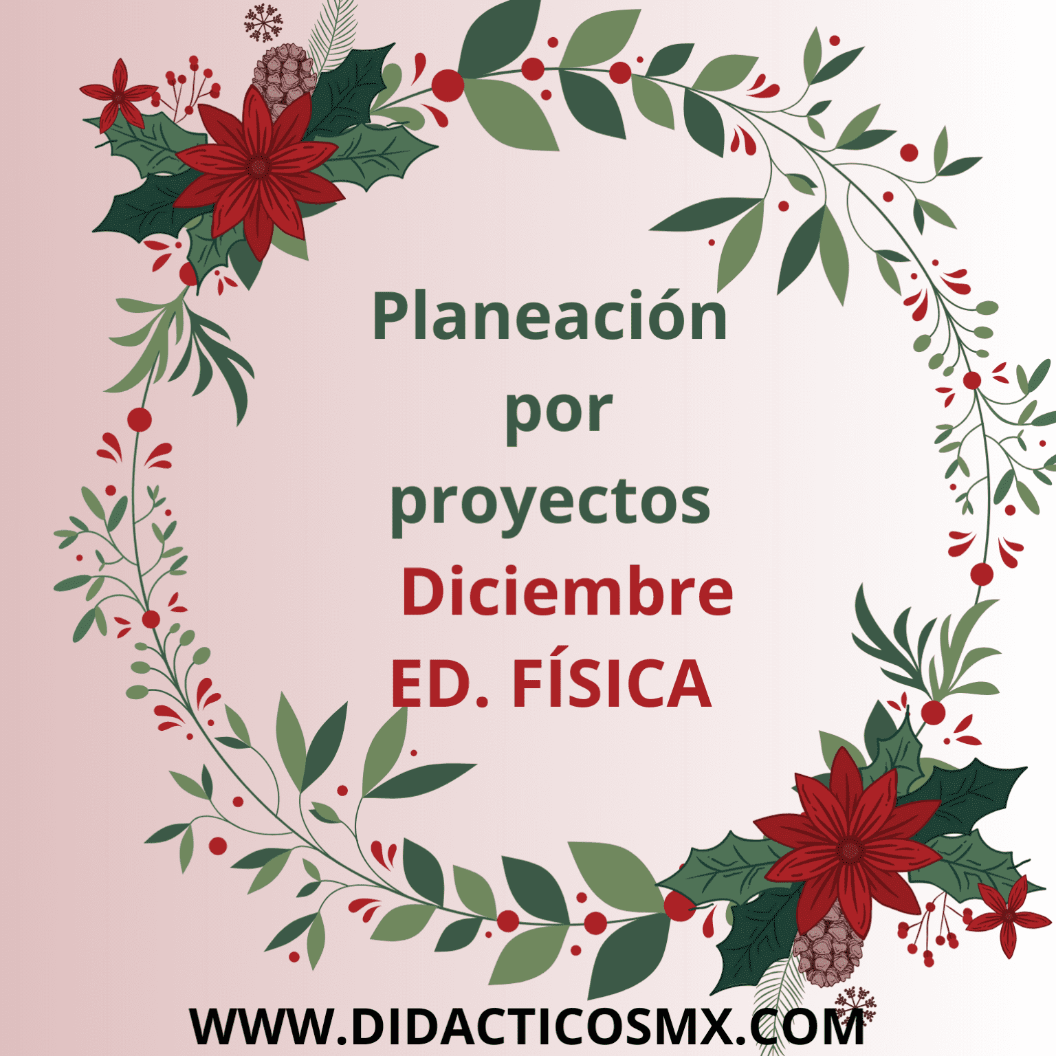 Educación Física Periodo 04 Diciembre Didácticos México